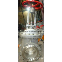 API Rising Stem Flange End Gate Valve RF